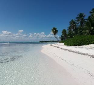 Isla Saona