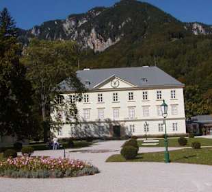 Schloss Reichenau