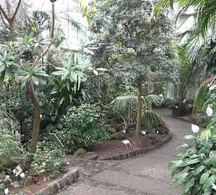 Tropicarium - Feuchte Tropen