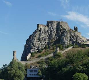 Burgruine an der Donau
