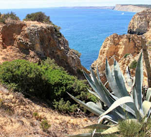 Ponta da Piedade