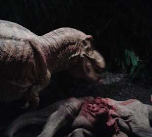 Auch mal nicht so lecker...