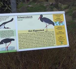 Wildpark Reuschenberg