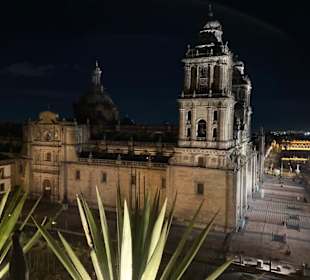 Kathedrale v. Mexico-City