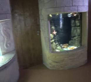  Lego X-Treme - Legoland Atlantis by SEA LIFE