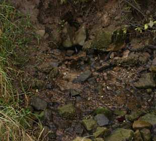 Das Schluckloch im Lampertsbachtal