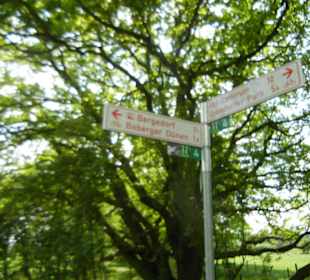 Naturschutzgebiet Boberger Niederung