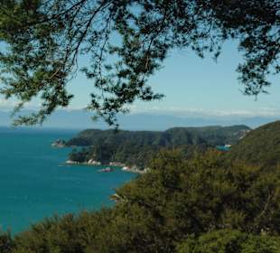 Natur in Abel Tasman