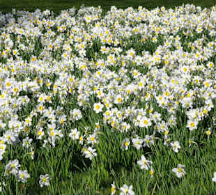 Impressionen vom Spaziergang durch den Kurpark