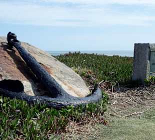 Stadtrundgang Punta del Este