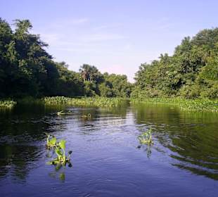 Bootsfahrt auf dem Orinoco