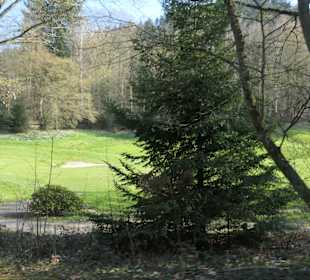 Wandern in Baden-Baden und Umgebung