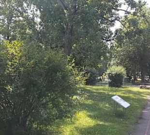 Friedhof Römerschanze