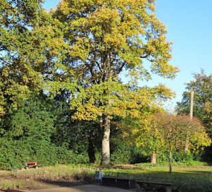 Eindrücke aus dem Bürgerpark Bremerhaven