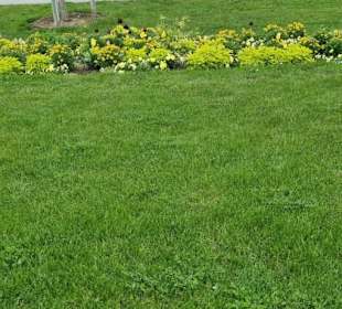 Blick in das Gelände