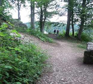 Burg Alt-Lichtenstein