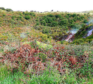 Inselrundfahrt Terceira