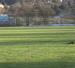 Sportgelände Raidwangen
