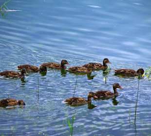 Der Stausee und seine Umgebung