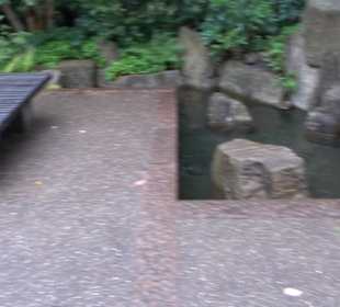 Japanischer Garten