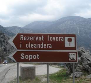 Boka Kotorska