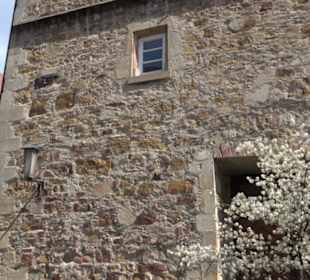 Kornhaus - Städtische Galerie