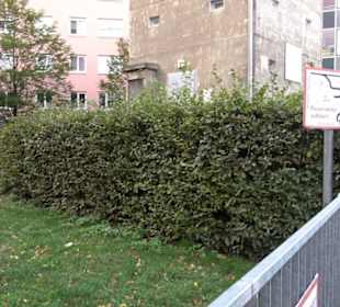 Gedenkstätte Günter Litfin