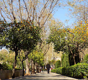 Gartenanlage, März 2017