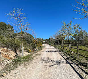 Wandern Cala Millor