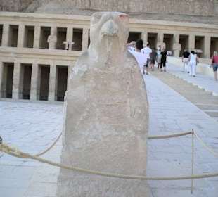 Tempel der Hatschepsut