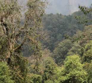 Restaurant Dantak Canteen