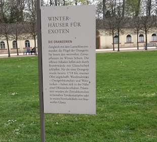 Orangerie Schloss Favorite