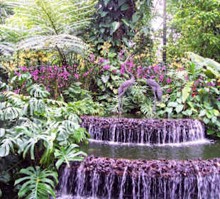 Botanischer Garten Singapore