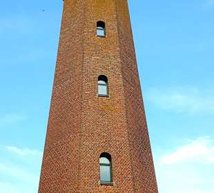 Apollo Tagestour zur Greifswalder Oie 