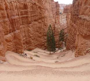 Bryce Canyon N.P.