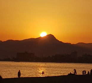 Strand Playa/Platja de Palma