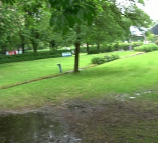 Wandern rund um den Stadtsee