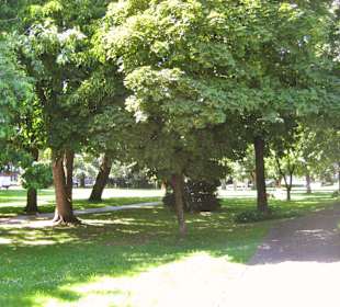 Kardinal-Graf-von-Galen-Park 