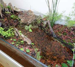 Forschung und Ausstellung im Jardin Méditerranéen