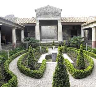 Garden 1
