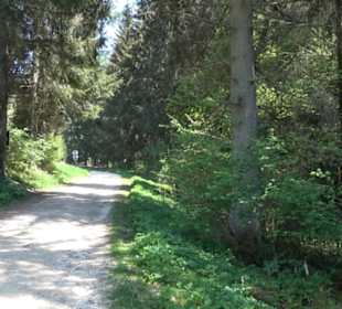 Premiumwanderweg Hochgehschätzt