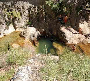 Źródełko młodości