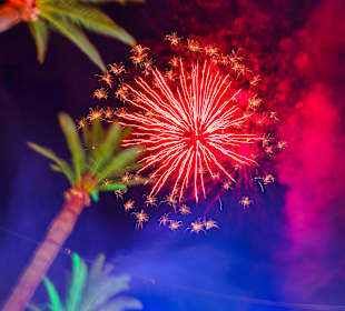 Feria de Nerja