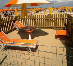 Für läufige Hündinnen