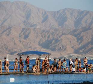 Dolphin Reef Eilat