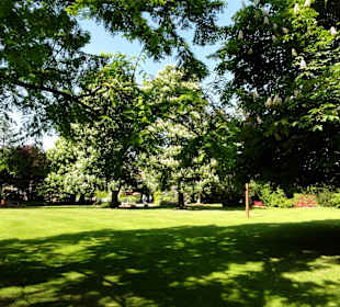 Spaziergang durch den Kurpark