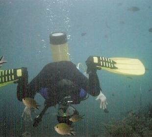 Amed Scuba Down Under