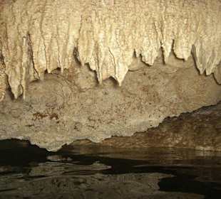 Cenotes Ausflug