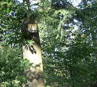 Bussen Schöpfungsweg Offingen
