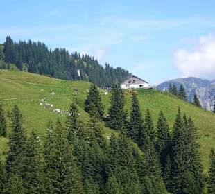 Wandern Nesselwängle